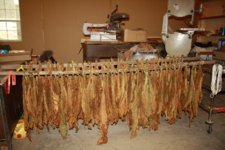 curing dark air and maryland final priming 2015.JPG
