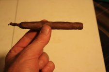 colombian garcia with timor wrap.JPG