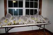 2015 seed bags.JPG