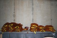 dark air and maryland ready for kiln 9-4-15.JPG