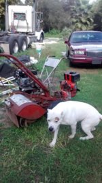 IMG_20150908_171751376.jpg