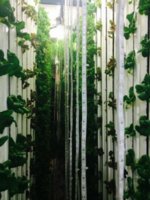 Produce-Towers-225x300.jpeg