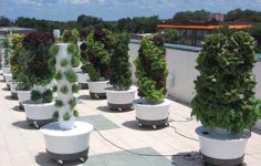 tower-garden-on-rooftop-pics.jpg