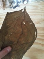 2015-11-05 13.01.02.jpg