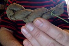 copenhagen tobacco cake Cake-Cut Tobacco: What Is It & How to Prepare It