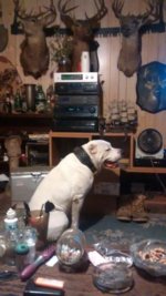 IMG_20140818_203735621.jpg IMG_20140818_203735621.jpg