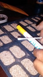 IMG_20160217_211703226.jpg