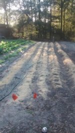 IMG_20160220_172211809.jpg