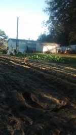 IMG_20160220_172340222.jpg