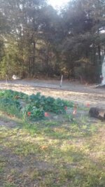 IMG_20160220_172431127.jpg