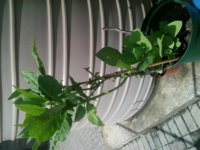 20160226_101735.jpg