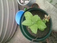 IMG_20160302_100528.jpg