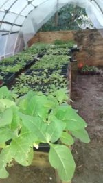 IMG_20160504_201054374.jpg