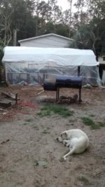 IMG_20160504_201017610.jpg