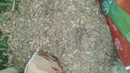 IMG_20160515_193652035.jpg
