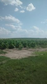 IMG_20160524_164618339.jpg