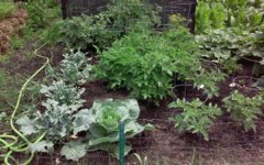 20160702_114248.jpg
