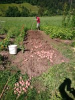 2016-07-18 09.57.31.jpg 2016-07-18 09.57.31.jpg
