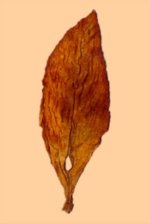 phoca_thumb_l_maden1.jpg