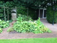 Wieneke 10 21-08-2016.jpg