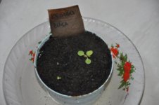 PTPN 03 02-09-2016.jpg