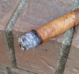 IMAG0550.jpg