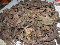 Tobacco-Leaf.jpg