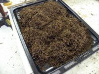 Tobacco-Cut.jpg