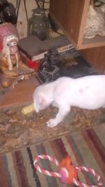IMG_20160517_213252025.jpg