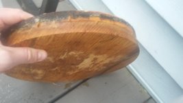 20161002_134500.jpg