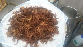 20161002_134912.jpg