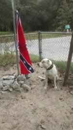 IMG_20161006_143704603.jpg IMG_20161006_143704603.jpg