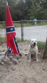 IMG_20161006_143712249.jpg IMG_20161006_143712249.jpg