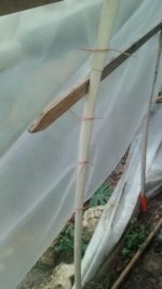 IMG_20161006_180639757.jpg IMG_20161006_180639757.jpg