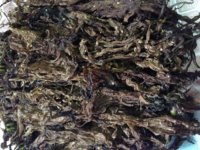 hqd nuts tobacco Near Me New - Nuts Tobacco & Tobacco hqd nuts tobacco Near Me New - Nuts Tobacco & Tobacco