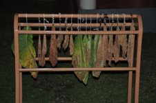 DSC_0175.jpg