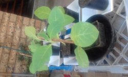 20161113_131001.jpg