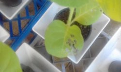 20161113_131012.jpg