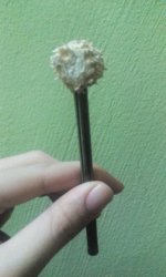 IMG-20161203-WA0008.jpg