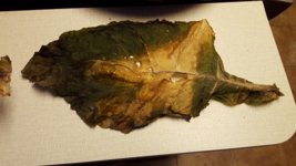 20161222_160713.jpg