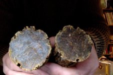 non combustible tobacco products Comparing combustible tobacco and heated tobacco sticks [IMAGE]