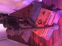 IMG_2847 2.jpg
