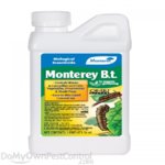 Monterey_Bt.jpg