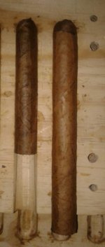 20170315_051517-1.jpg