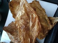 IMG_20170317_122127839.jpg