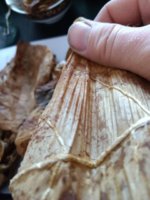 IMG_20170317_122153851.jpg