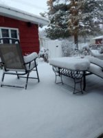 IMG_20170423_065002840.jpg
