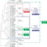 mcm32601.jpg mcm32601.jpg