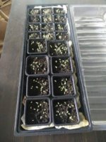 18110486_10210495898285988_471916097_n.jpg 18110486_10210495898285988_471916097_n.jpg