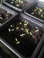 18142906_10210495896525944_1649724907_n.jpg 18142906_10210495896525944_1649724907_n.jpg